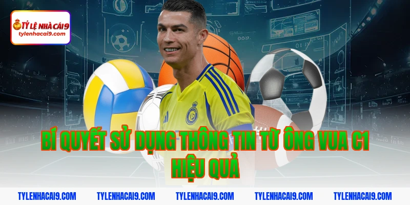 Bí quyết sử dụng thông tin từ ông vua C1 hiệu quả