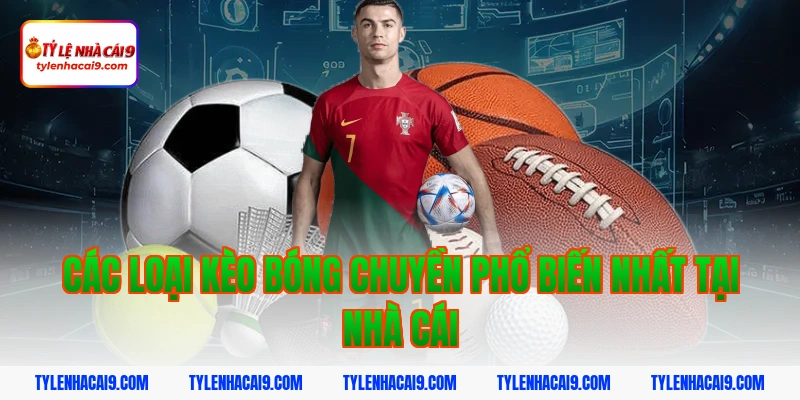 Các loại kèo bóng chuyền phổ biến nhất tại nhà cái