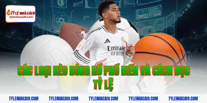 Các loại kèo bóng rổ phổ biến và cách đọc tỷ lệ