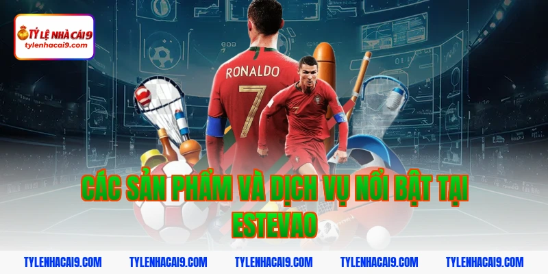 Các sản phẩm và dịch vụ nổi bật tại estevao