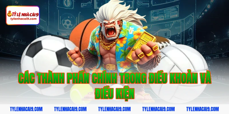 Các thành phần chính trong điều khoản và điều kiện