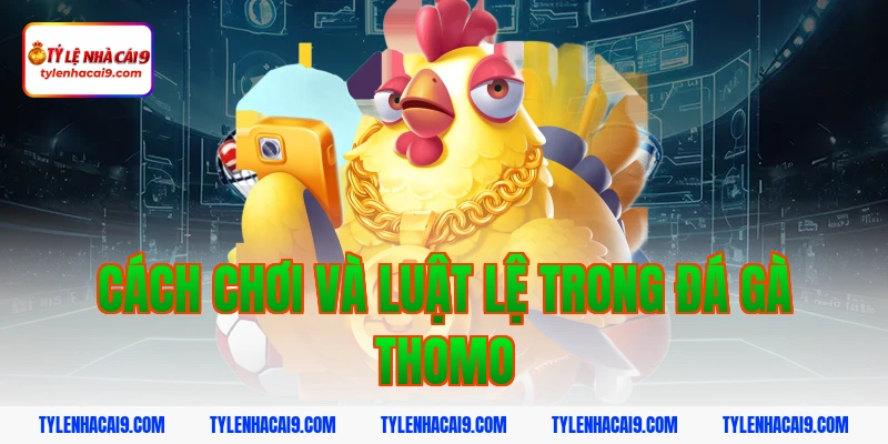 Cách chơi và luật lệ trong đá gà Thomo