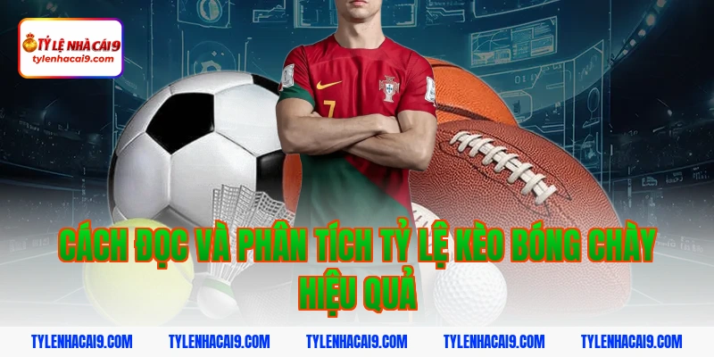 Cách đọc và phân tích tỷ lệ kèo bóng chày hiệu quả