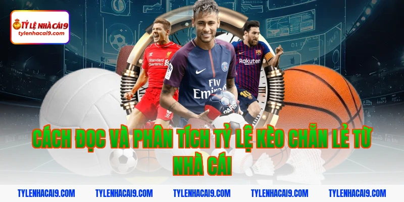 Cách đọc và phân tích tỷ lệ kèo chẵn lẻ từ nhà cái