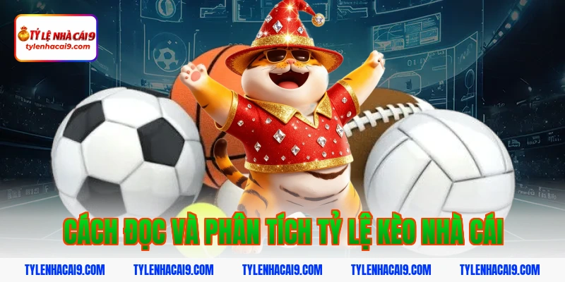 Cách Đọc Và Phân Tích Tỷ Lệ Kèo Nhà Cái