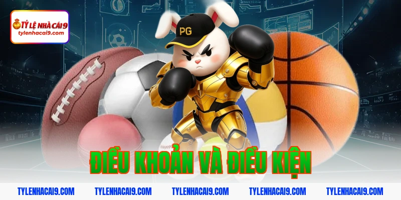 điều khoản và điều kiện