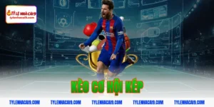 kèo cơ hội kép