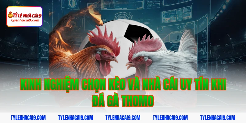 Kinh nghiệm chọn kèo và nhà cái uy tín khi đá gà Thomo