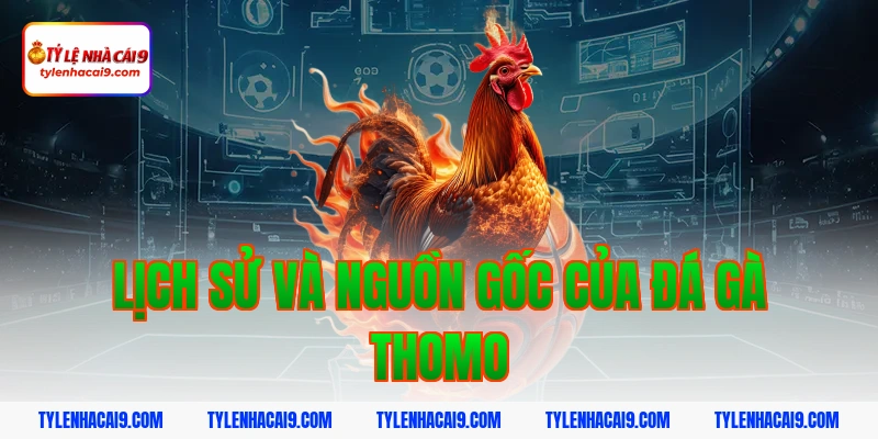 Lịch sử và nguồn gốc của đá gà Thomo
