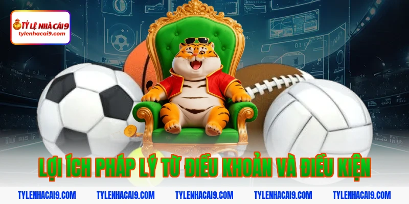 Lợi ích pháp lý từ điều khoản và điều kiện
