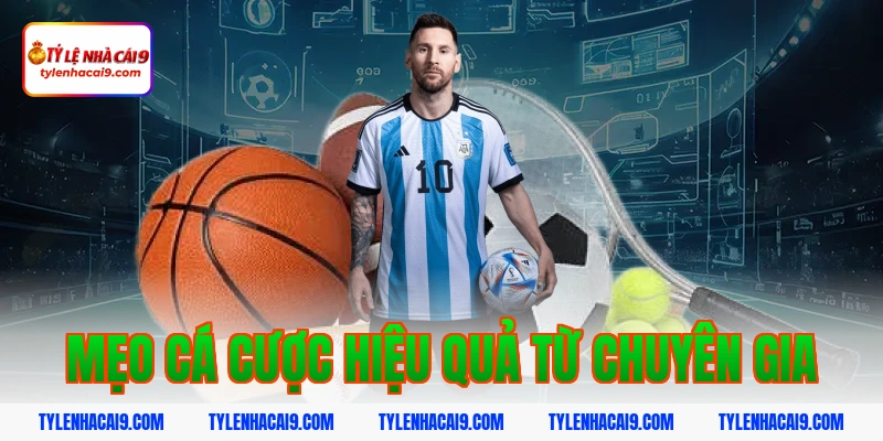 Mẹo cá cược hiệu quả từ chuyên gia