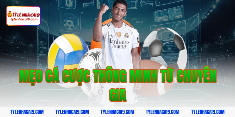 Mẹo cá cược thông minh từ chuyên gia