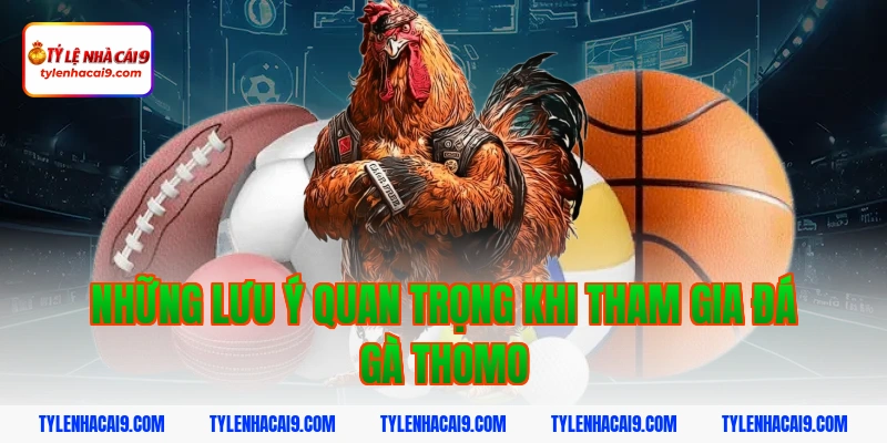 Những lưu ý quan trọng khi tham gia đá gà Thomo