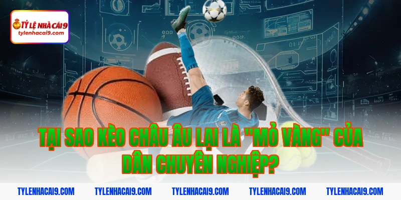 Tại sao kèo châu âu lại là "mỏ vàng" của dân chuyên nghiệp?