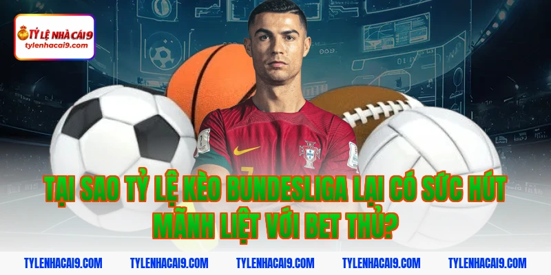 Tại sao tỷ lệ kèo bundesliga lại có sức hút mãnh liệt với bet thủ?