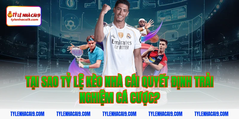 Tại sao tỷ lệ kèo nhà cái quyết định trải nghiệm cá cược?