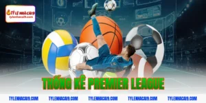 thống kê premier league