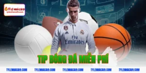 tip bóng đá miễn phí