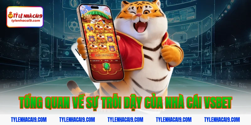 Tổng Quan Về Sự Trỗi Dậy Của Nhà Cái Vsbet