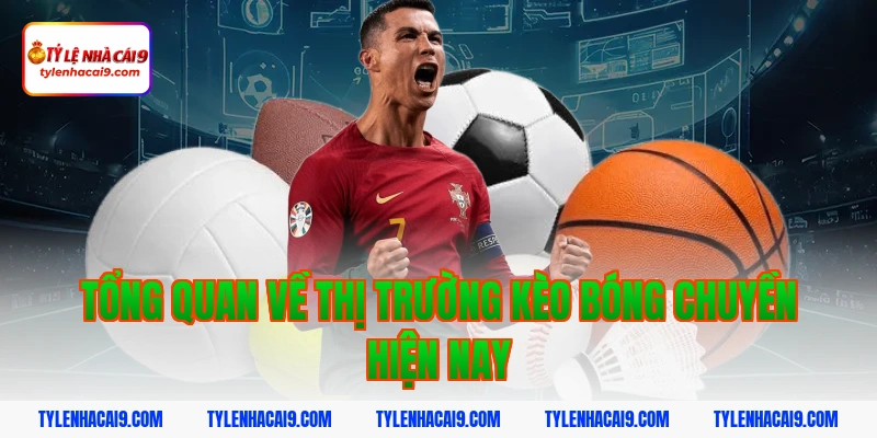 Tổng quan về thị trường kèo bóng chuyền hiện nay
