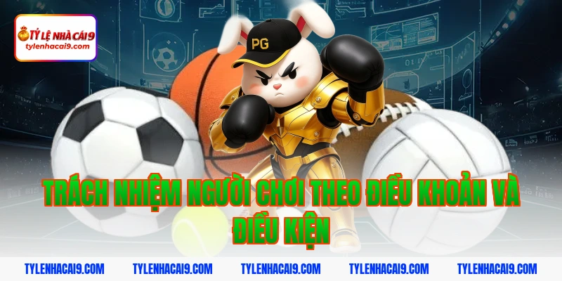 Trách nhiệm người chơi theo điều khoản và điều kiện