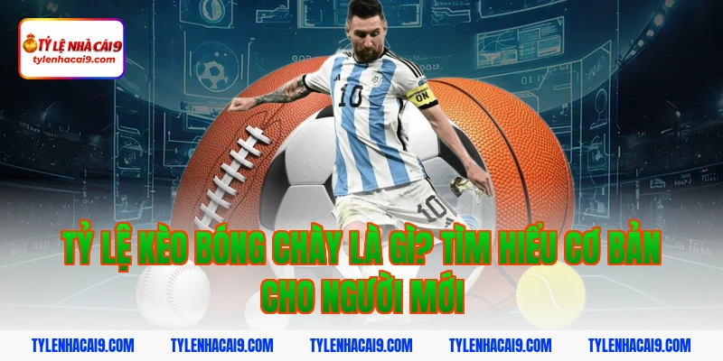 Tỷ lệ kèo bóng chày là gì? Tìm hiểu cơ bản cho người mới