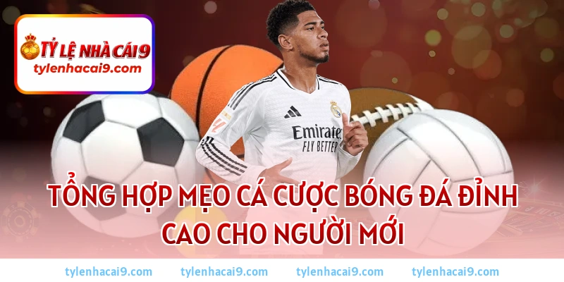 Mẹo cá cược bóng đá 2026: Bí kíp soi kèo thắng lớn mỗi ngày 2 Tổng hợp mẹo cá cược bóng đá đỉnh cao cho người mới